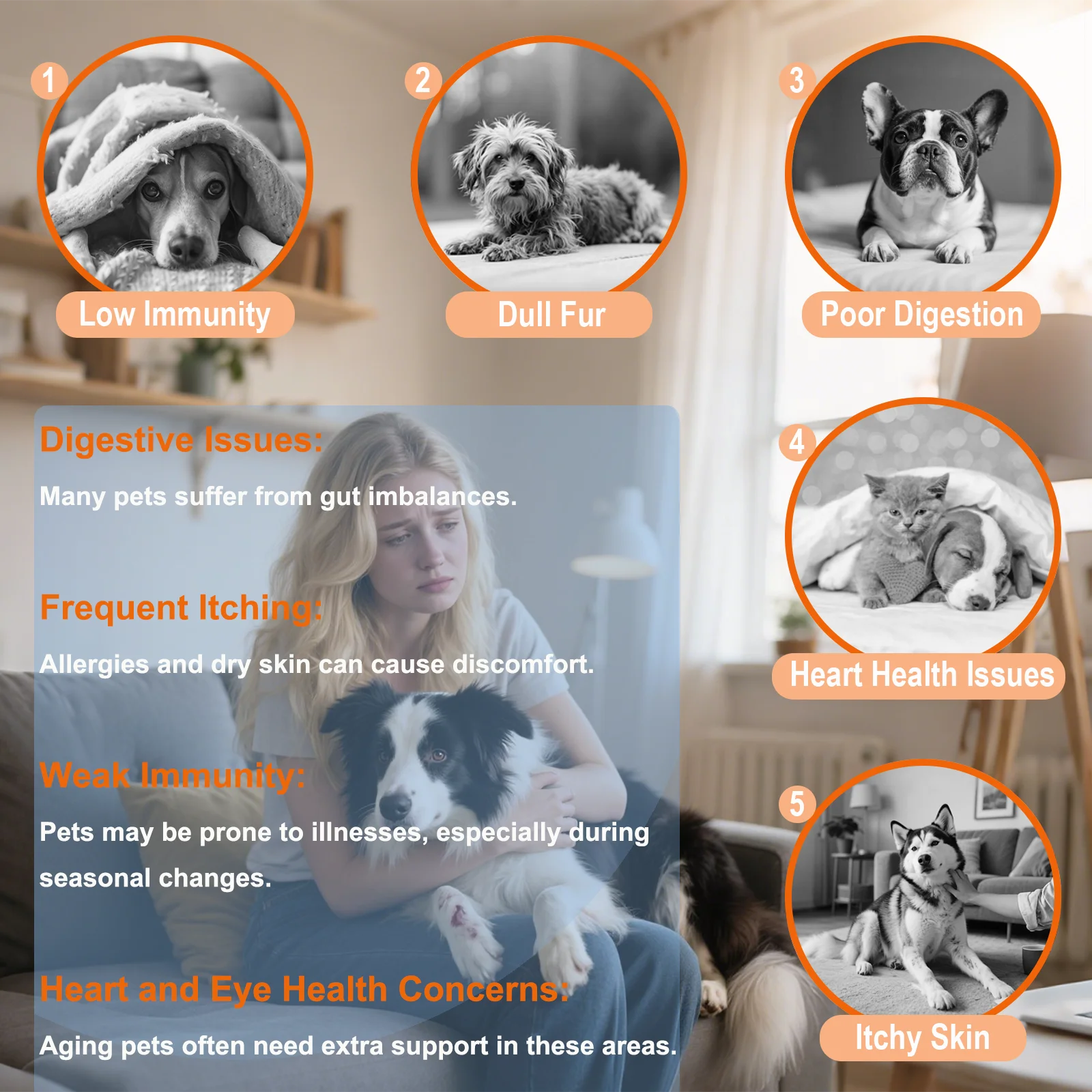 2 قطعة/الوحدة مضغ السلمون والبروبيوتيك الناعمة للقطط والكلاب |   مكمل لتخفيف الحكة وتوازن نباتات الأمعاء ودعم مناعة قوي