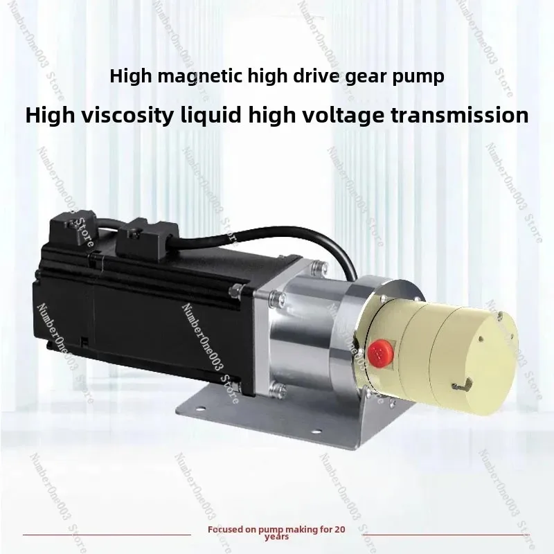 High-Precision Miniature PEEK Gear Small Magnetic Gear Metering Injection Stainless Steel Filling Pump