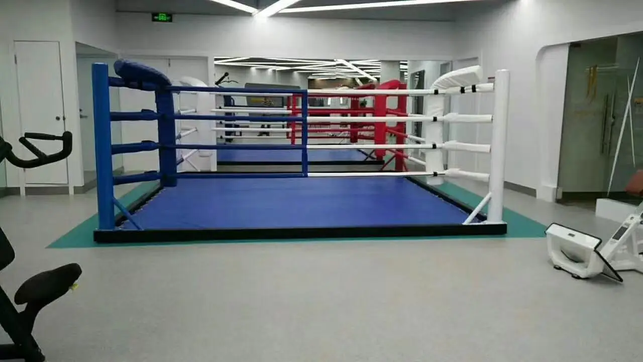 Octagon Floor UFC Cage for MMA and Boxing Ring Training
