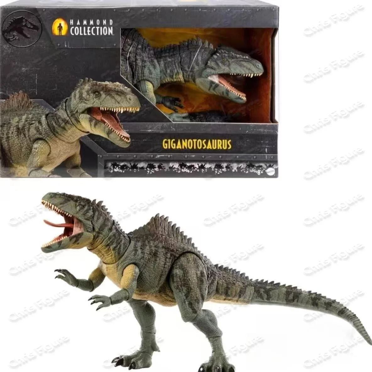 【IN STOCK】Mattel Jurassic World 3 Hammond Series Giganotosaurus HXF57, Articulated Model Dinosaur Toy
