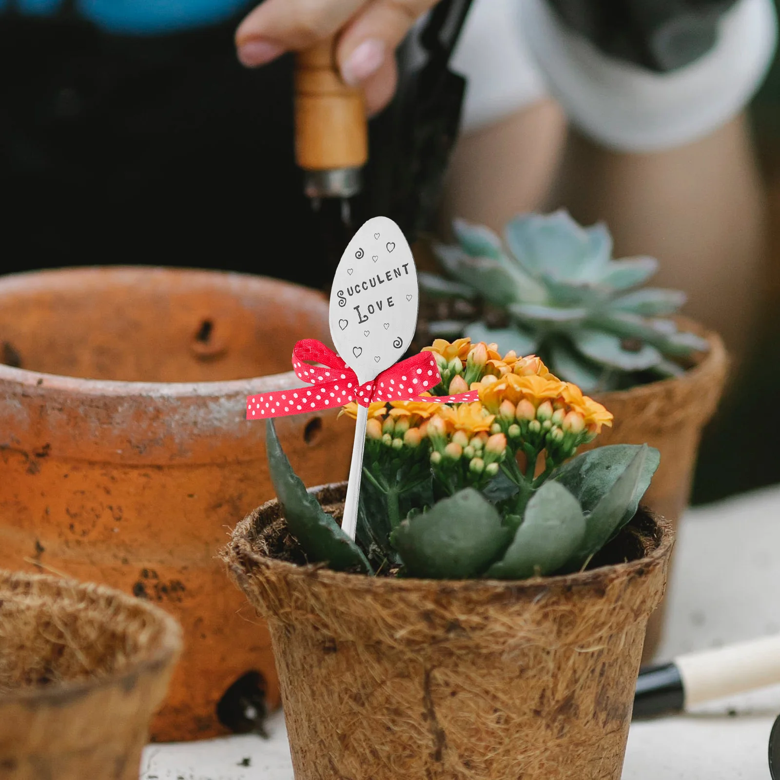 

Garden Marker Plant Iron Sign Small Size Printed Letter Insert Label for Nursery Pots Garden Greenhouse Plant Identification