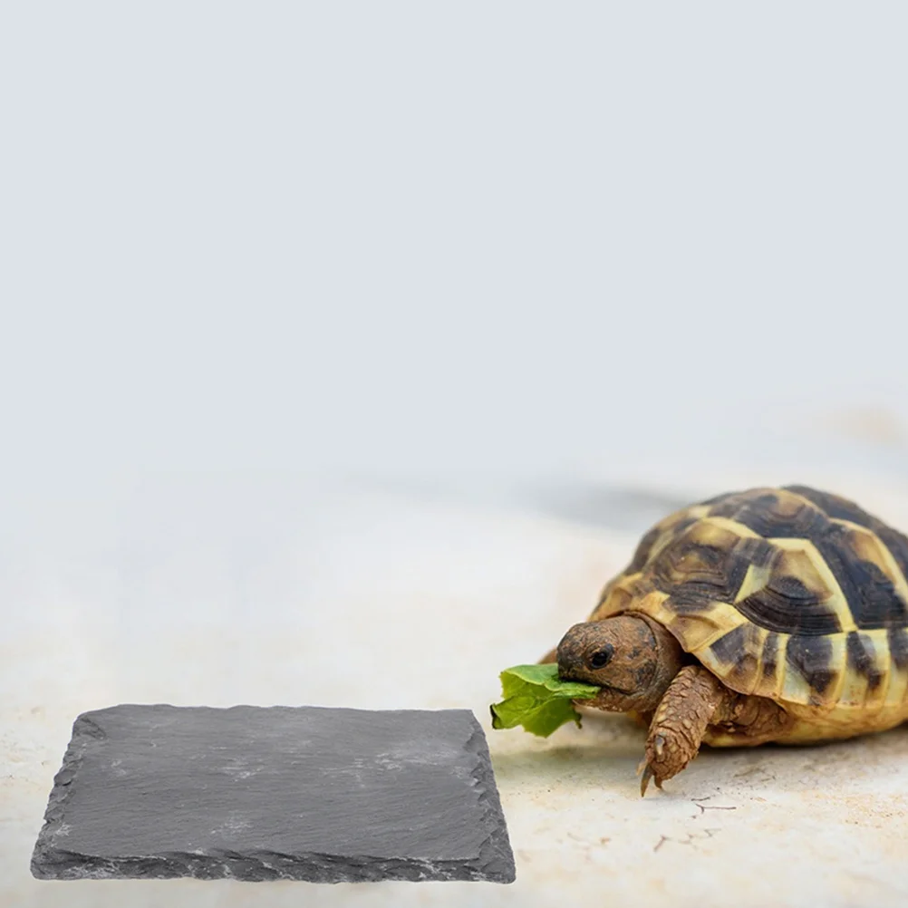 

Reptile Stone Dish for Tortoise Lizard Gecko Decorative Basking Feeding Plate Snake Turtle Habitat Natural Environment Nail