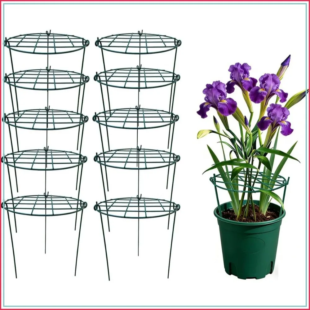 

10 Pack 20x30in Peony Cage Plant Supports, Strong Garden Stakes for Flowers, Peonies, Roses, Lilies