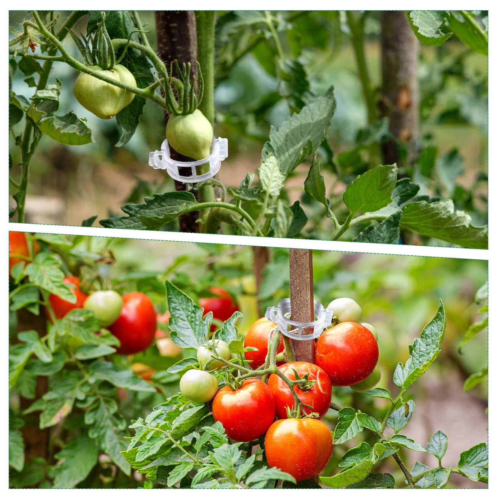 200 قطعة مقاطع دعم النبات مشبك بلاستيكي حديقة تعريشة أصحاب لتسلق الطماطم الخضروات السنانير مقاطع النبات