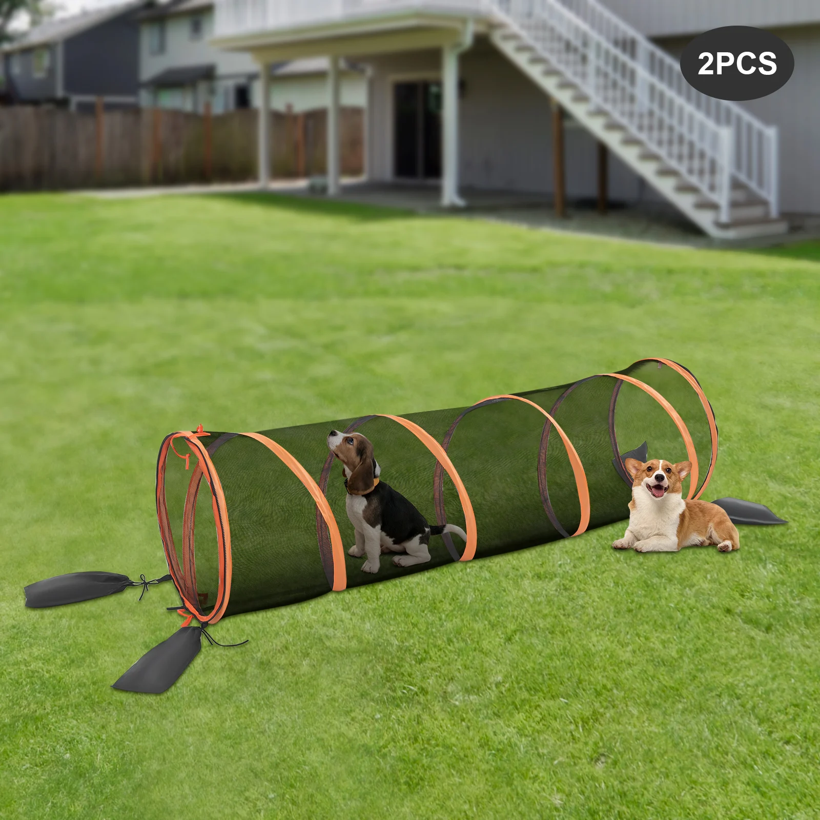 

2-Piece Cat Play Tunnel Set, Modern Pet Activity Toy, Foldable & Durable for Cats, Rabbits, Hamsters, Easy Assembly & Storage