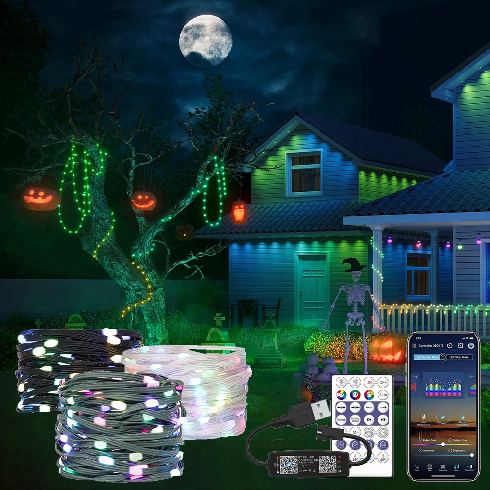 5-20m WS2812B RGBIC LED String DC5V USB Bluetooth APP music controller Addressable Wedding Garland Decoration Christmas Lights