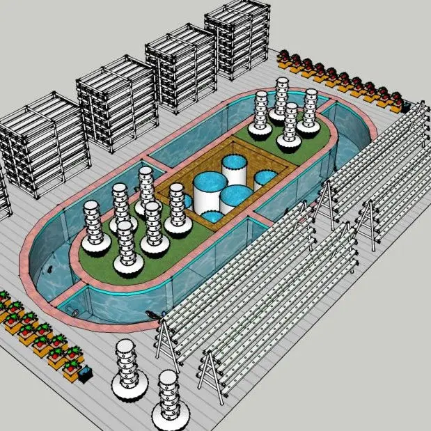 Fish Vegetable Commercial aquaponics system for fish and plant grow together soilless culture System