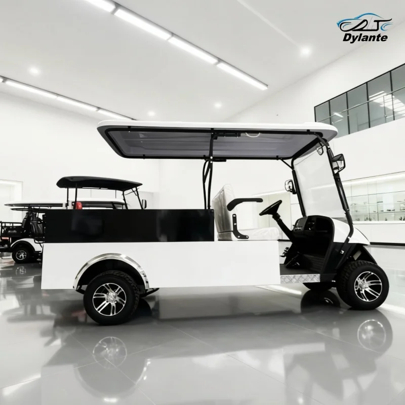 

Brand New 4 Wheelers Adult Touring Car Cheap Electric Scenic Sightseeing Electric Car Street Legal New Energy Electric Golf Cart