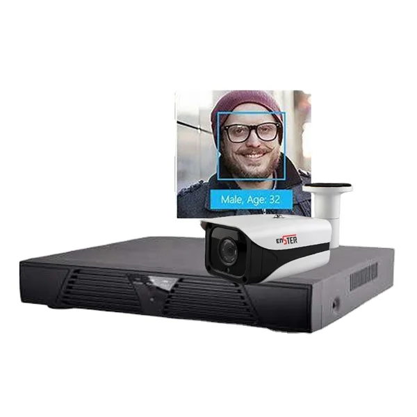 

L ENSTER IP-камера с распознаванием лиц, комплект NVR, 2,0 МП, H.265, Full HD 1080P, 4-канальный сетевой видеорегистратор, определение распознавания лиц