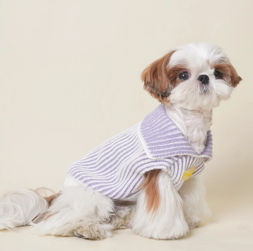 Soft Cotton Sweater for Pets, Small Dog Clothing, Cute French Fries Printed, High Quality Design Jacket for Cats and Animals