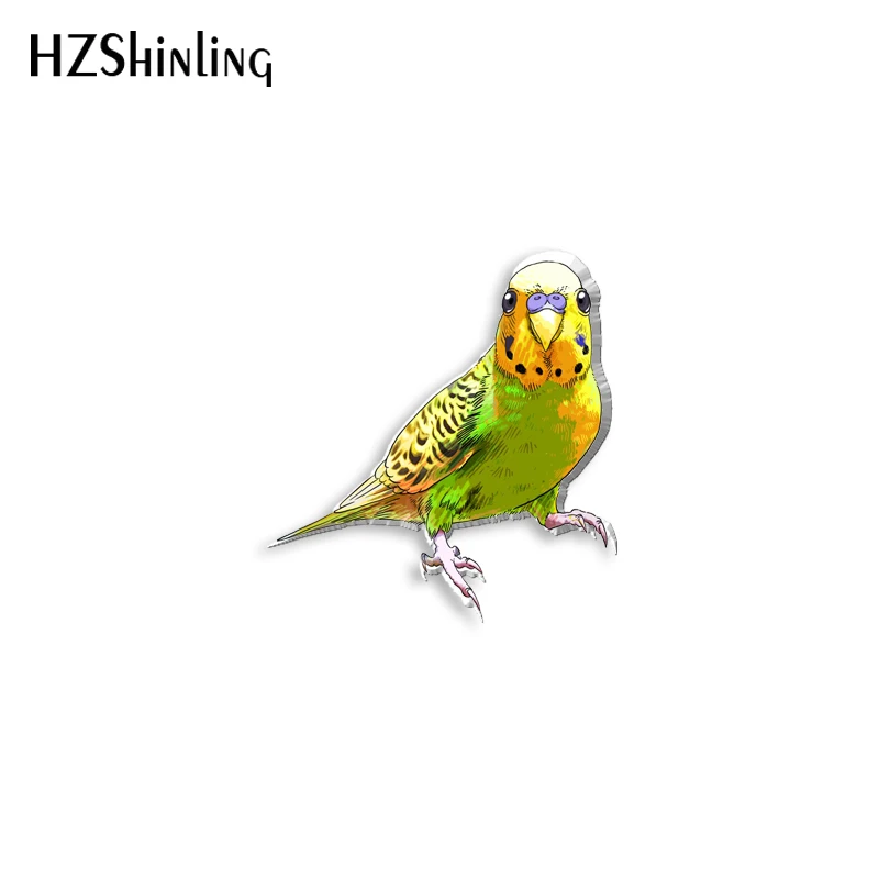 2022 New Budgies Acrylic Lapel Pin Cute Bird Epoxy Butterfly Clasp Pin Handmade Butterfly Brooch