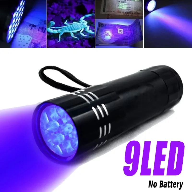 9LED