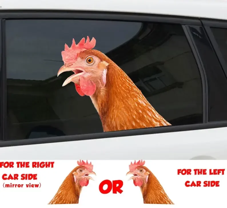 

Red chicken window sticker, car sticker, red chicken car decal, funny sticker