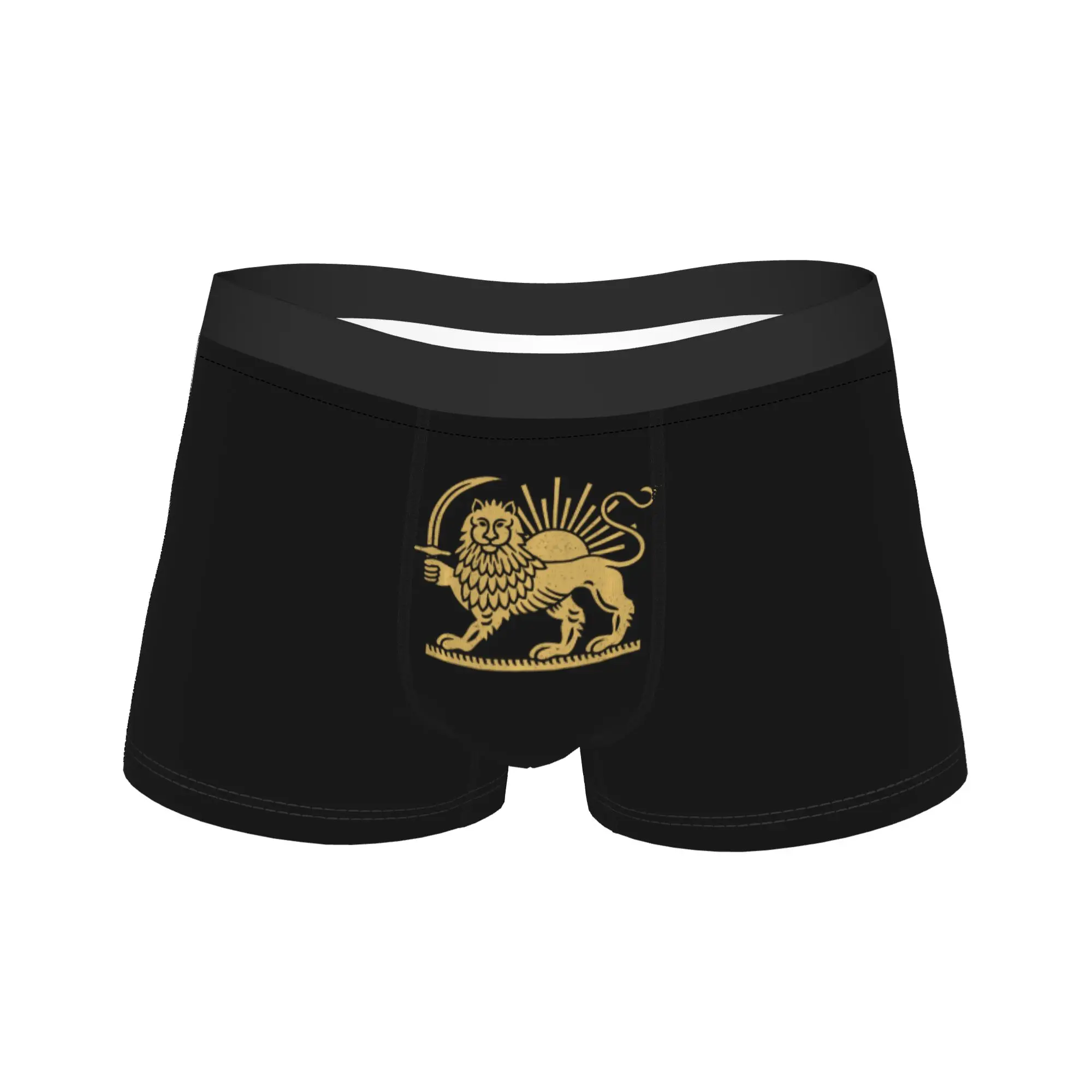 

Мужские трусы-боксеры с флагом Ирана, картой, персидским львом и солнцем, сексуальные иранские трусы, мягкие мужские трусы больших размеров