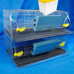 Whole Large Family Farm quail chick birds Partridge pigeon parrot egg laying cage house breeding cage system for one week