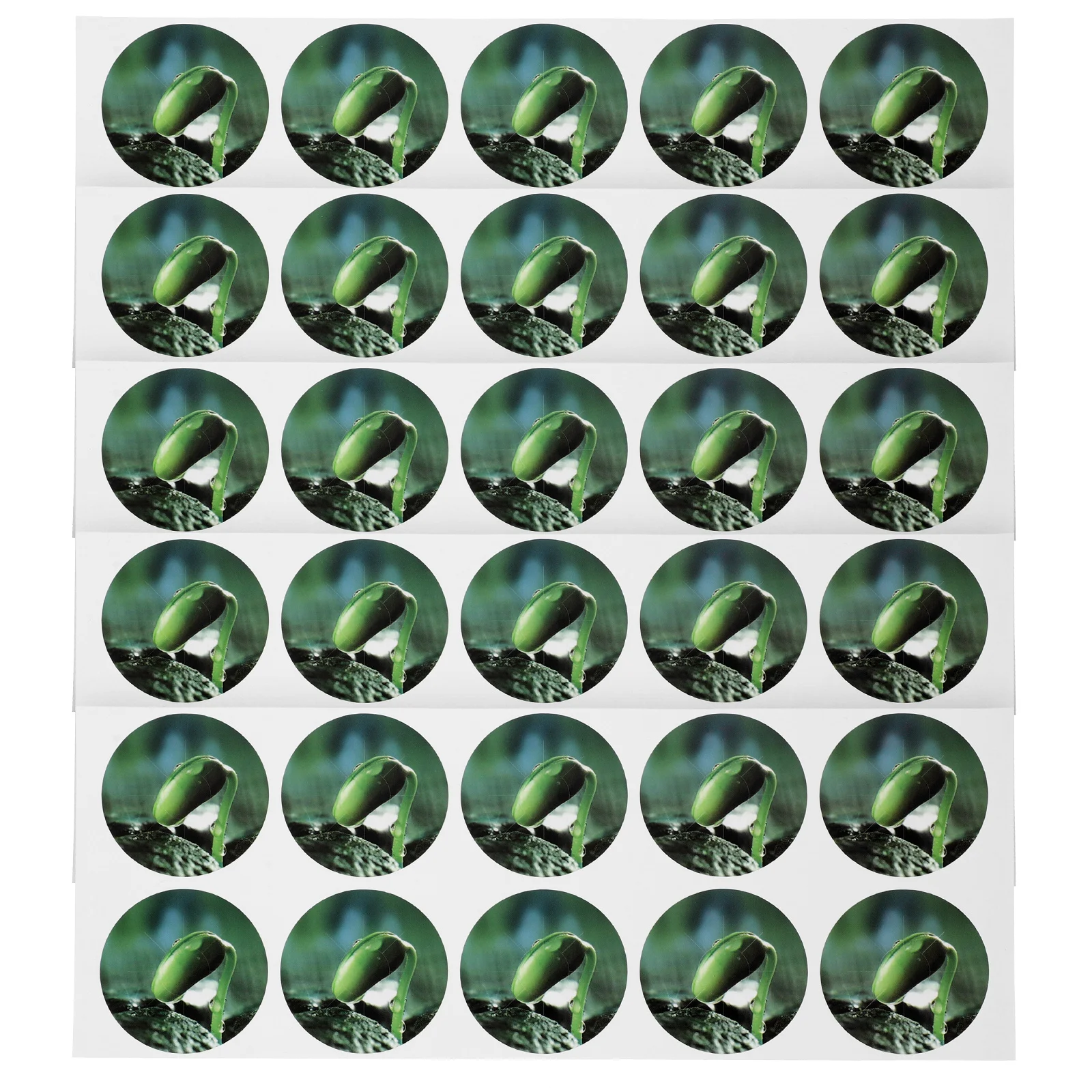 ملصقات وعاء البذور البلاستيكية المتينة المقاومة للماء 5 أوراق سهلة العصا ملصقات بمناسبة النباتات أدوات البستنة المائية وعاء البذور ملصقات PVC