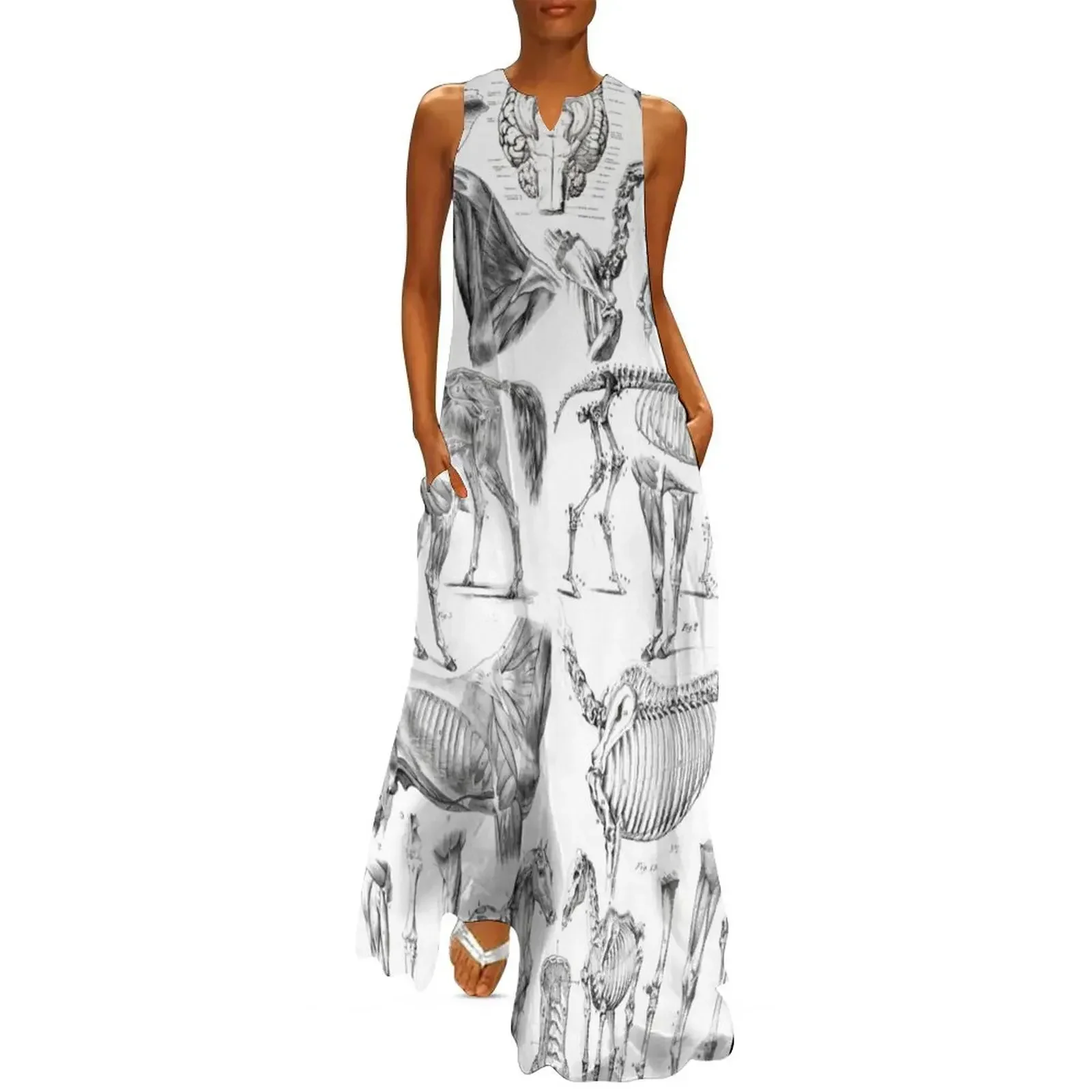 

Horse Anatomy (black on white) Long Dress Long dress long dresses for women Dresses gala Evening dresses Dress