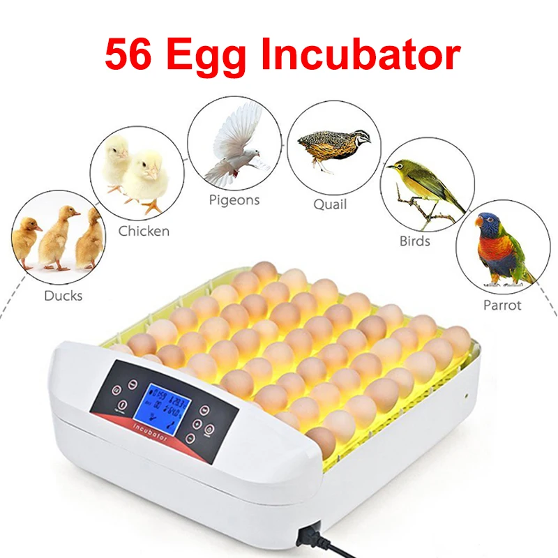 

56 Automatic Egg Incubator LED Chicken Egg Hatcher Machine Turner Brooder Incubatores For Hatching Goose Quail Chicken Eggs Farm