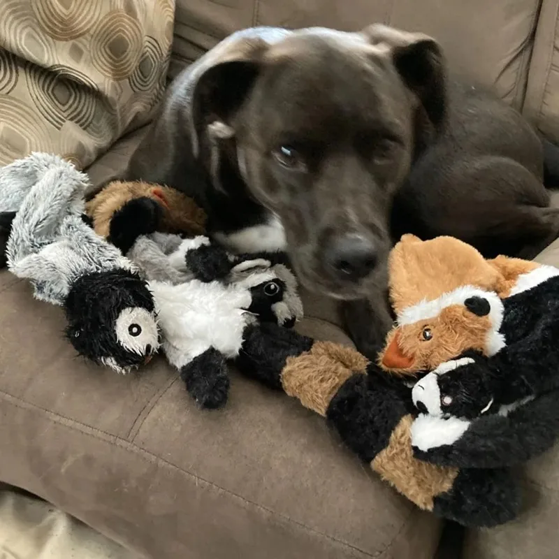 best chew toy