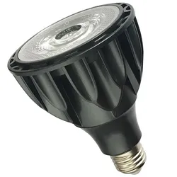 E27 pełne spektrum LED PAR30 lekkie czarne aluminium 15W 20W 25W 30W 3000K naturalna biel 4000k 6000k AC85-265V centrum handlowe