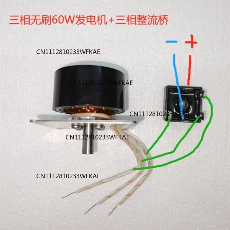 Generator Micro Brushless Three-phase Permanent Magnet Brushless Dual Purpose Motor 60W100w Water Wheel Wind Power 12v24v