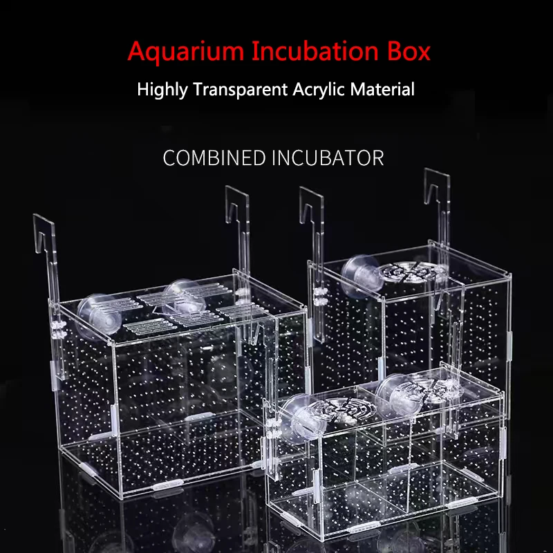 Caja de aislamiento de cría de peces de acuario acrílico transparente, Incubadora de eclosión, accesorios de tanque de alimentación