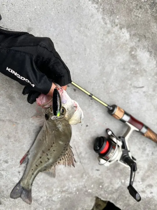 Kingdom Fishing Rods STREAM KING Ultraleichte 62g Spinn- und Casting-Rute 1,45 1,65 1,39 1,53m UL Baitcasting Reise-Flussangelrute – Detail 1