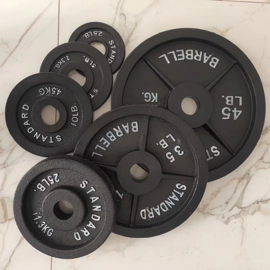 

Gym Fitness Competition Plate Barbell Weight Discs Cast 2.5-45LB Bumper Weight Plates for Exercise