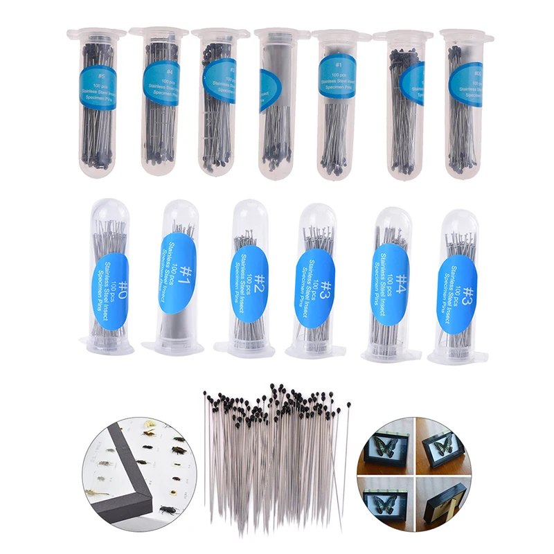 Whole Pins Entomology Pins Stainless Steel 100Pcs Specimen Insect Pin Insect Dissections Supplies Needle With Plastic Box Lab