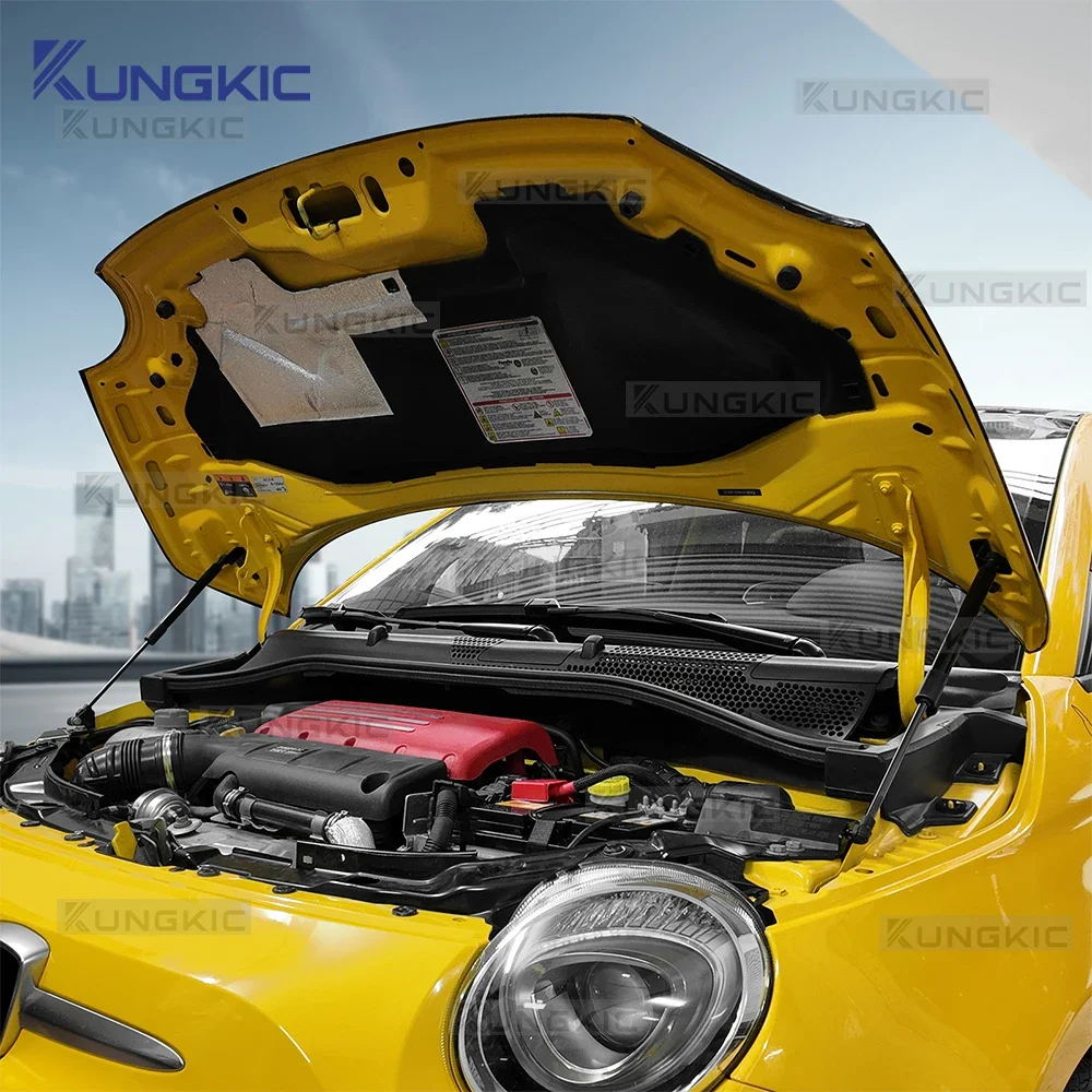 

For Fiat 500 500C 2008-2024 Abarth 595 695 2012 2013 2014-2024 Front Rear Trunk Bonnet Gas Struts Hood Lift Support Shock Rod