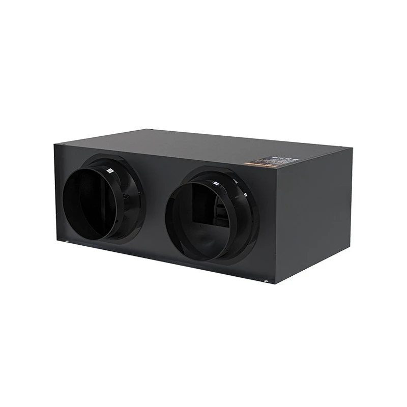 

Two-way flow fresh air fan fresh air system commercial ventilator filter pm2.5 whole house central fresh air