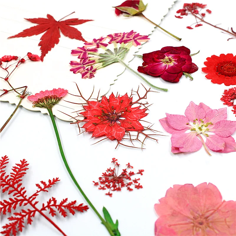 Dry Flower Combination Package Material Package, DIY Combination Package, Embossed Mobile Phone Shell, Photo Stick Face