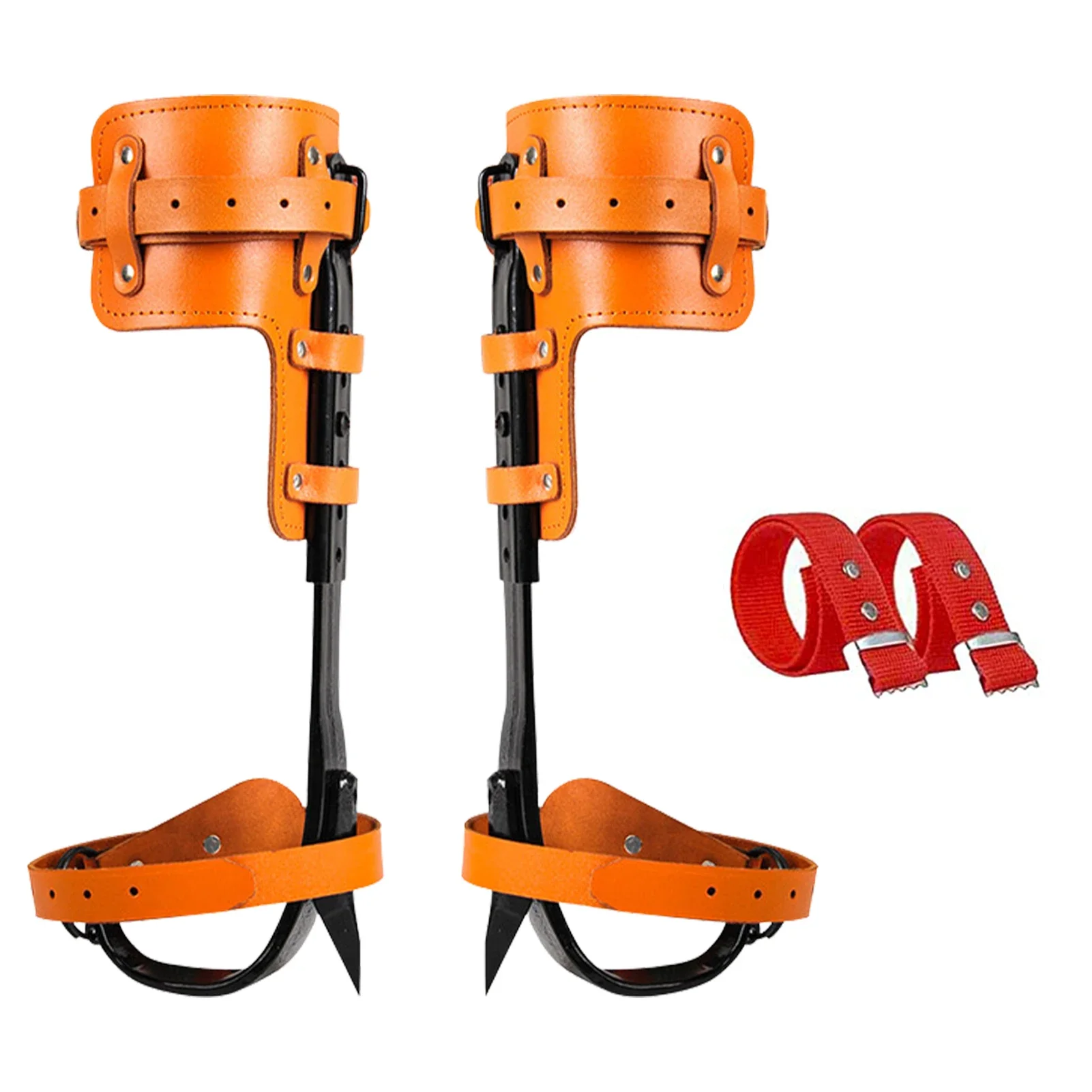 Imagem -02 - Espessamento Ajustável Tree Climbing Spikes Stand-up Tree Climbing Spurs Ferramenta Integrada para Alpinista Logging e Hunting