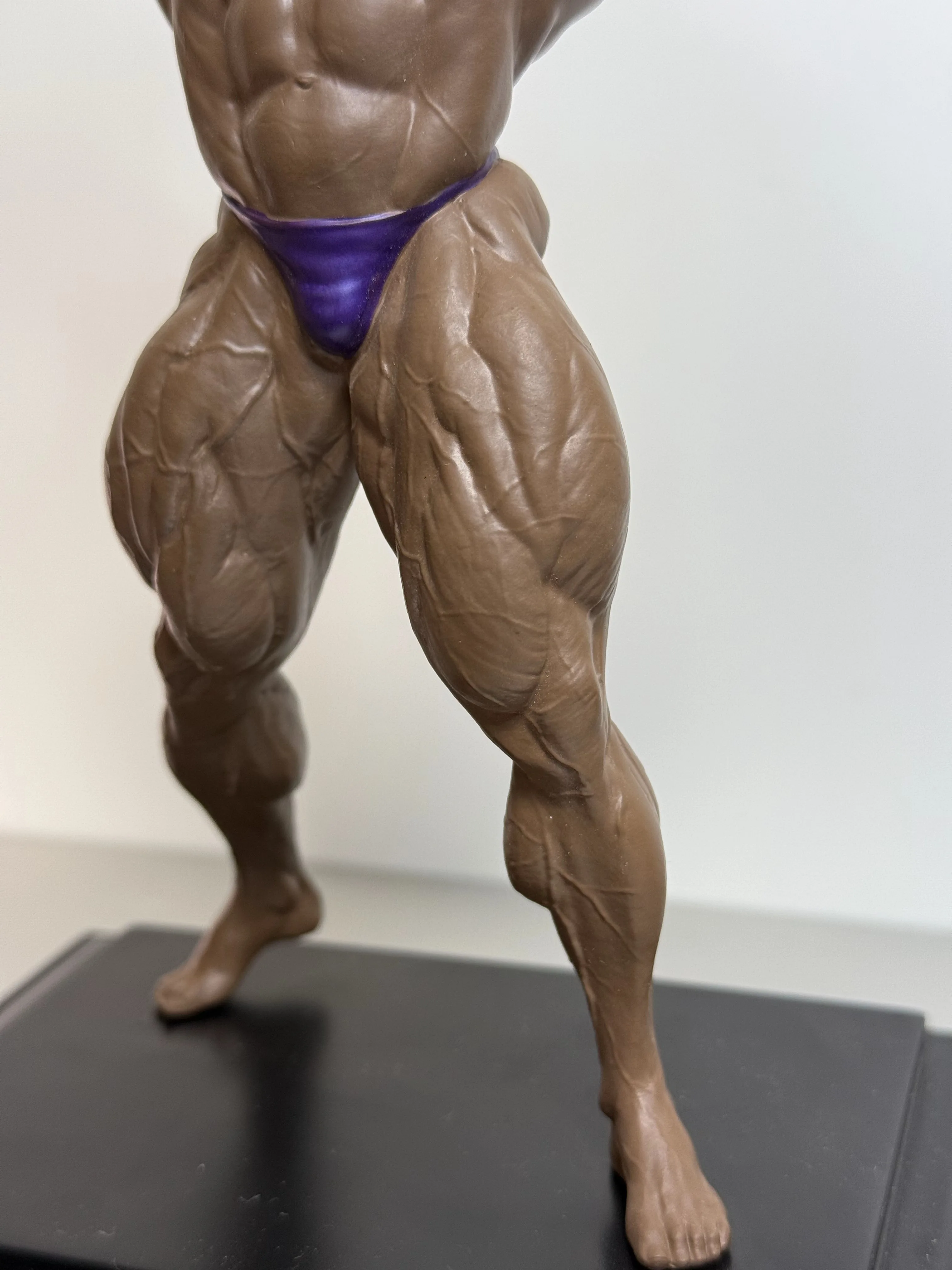 Ronnie Coleman Garage Kit 23cm height