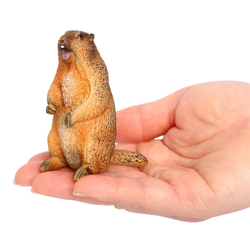 Simulasi lintas batas model plastik satwa liar padat groundhog marmot tupai ornamen mainan kognitif anak-anak