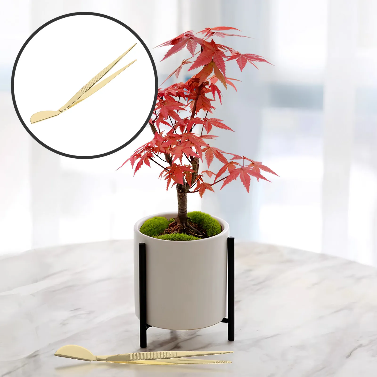 

Stainless Steel Bonsai Tweezers Scraper 2-in-1 Precision Gardening Tool Ergonomic Handle for Moss Arranging Bud Removing and