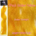 2Pack G Yellow