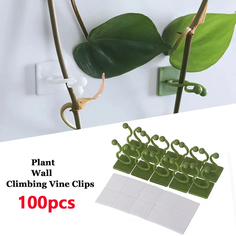 

Стенка для скалолазания, самоклеящаяся фиксированная пряжка, крючок, застежка, привязанное приспособление, пряжка для лозы, крючок для садовых растений, стена для скалолазания, зажимы для лозы