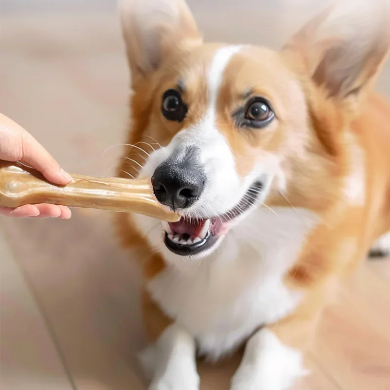 Dog Teething Stick Pet Interactive Snacks Puppy Chewing Training Bite Resistant Gum Stick Bone Clean Teeth Training Reward Snack