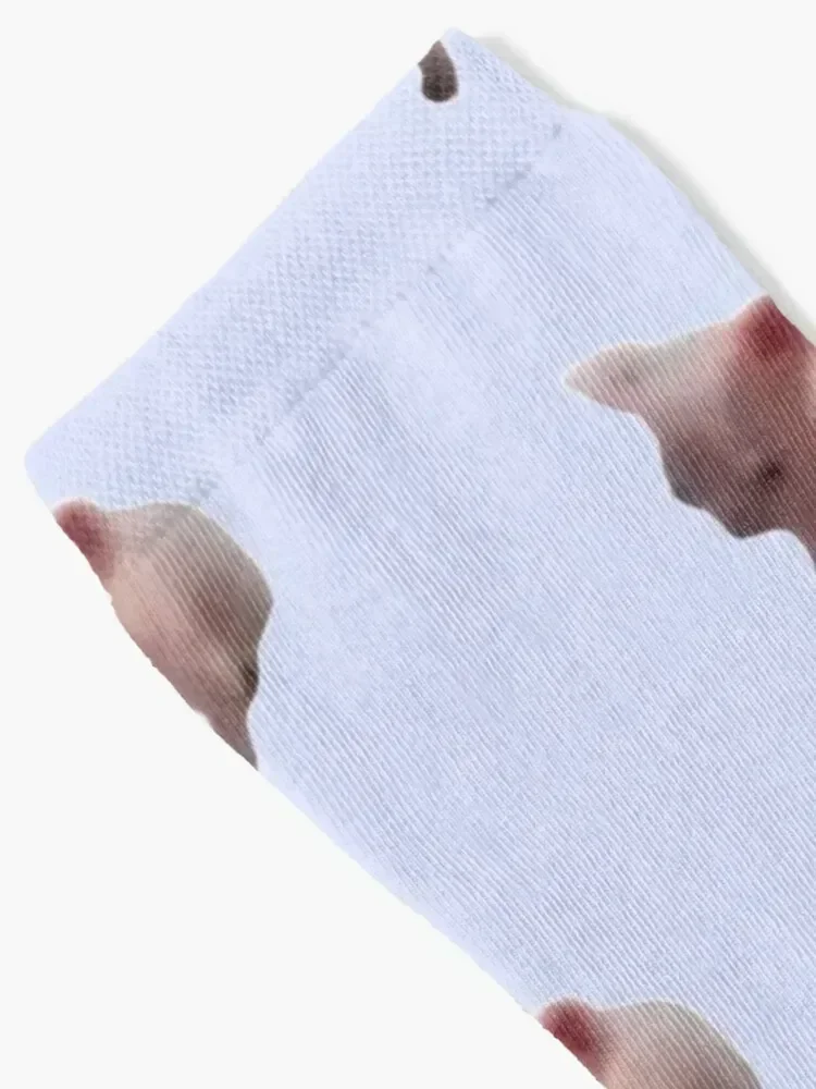 tiny bingus Socks new in's short man Running Socks For Women Men's