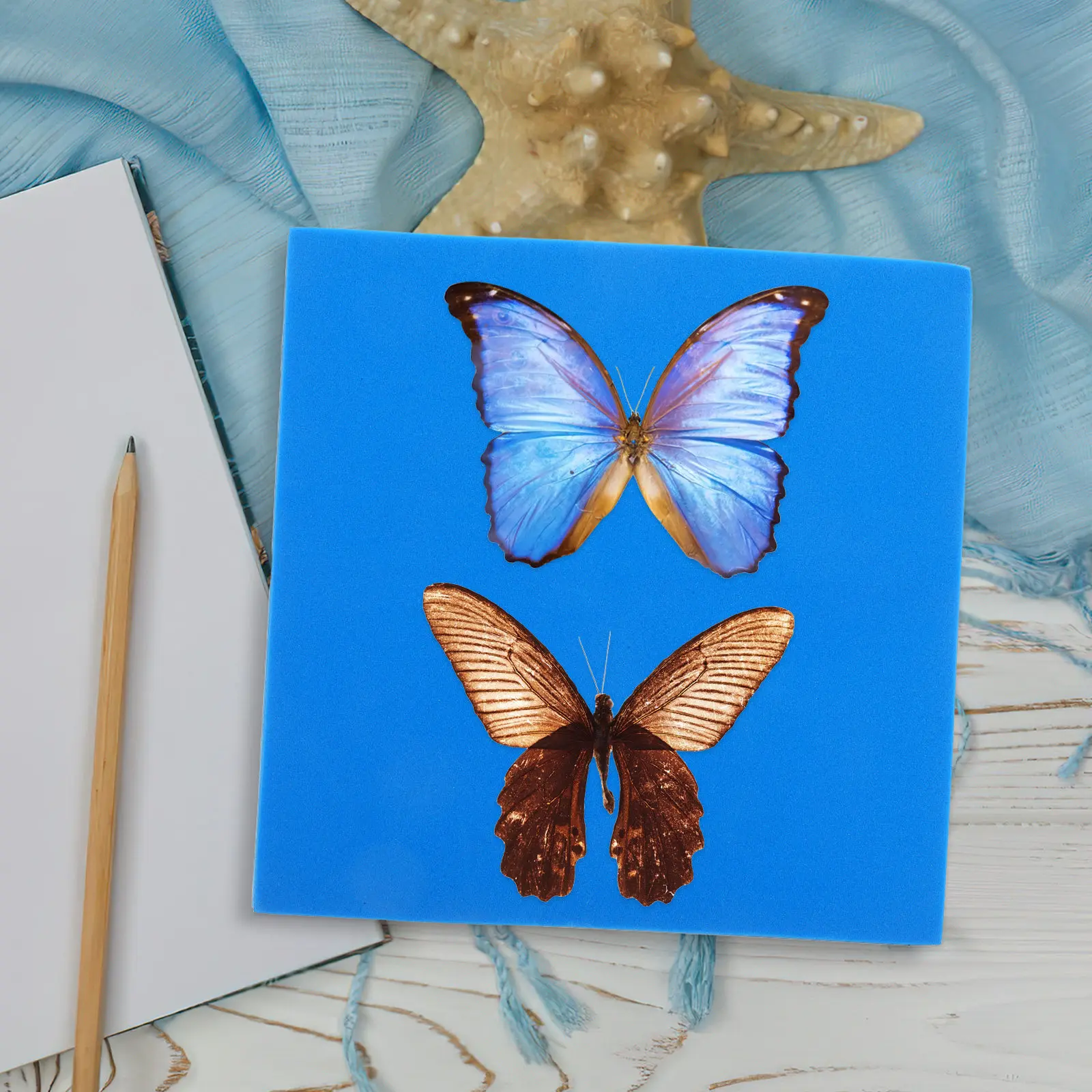 Butterfly Specimen Pinning Board Eva Foam Stable Compact Design for Secure Mounting Display Board Entomology Supplies