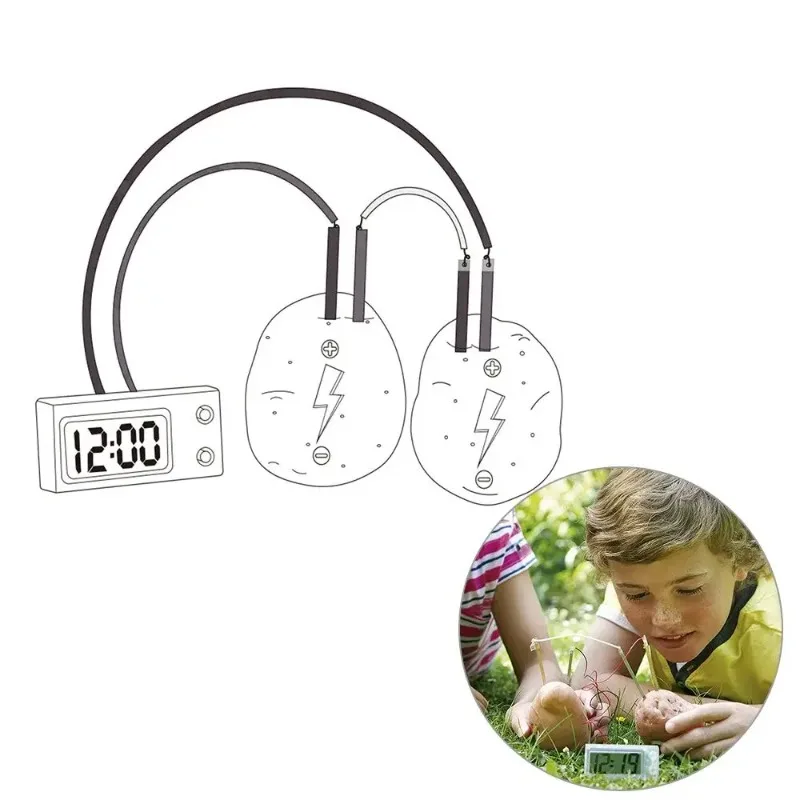 

New Kid Montessori Toy Fruit Potato Dry Battery Educational Science Toys for Children Technology Experiment School Teaching Aids