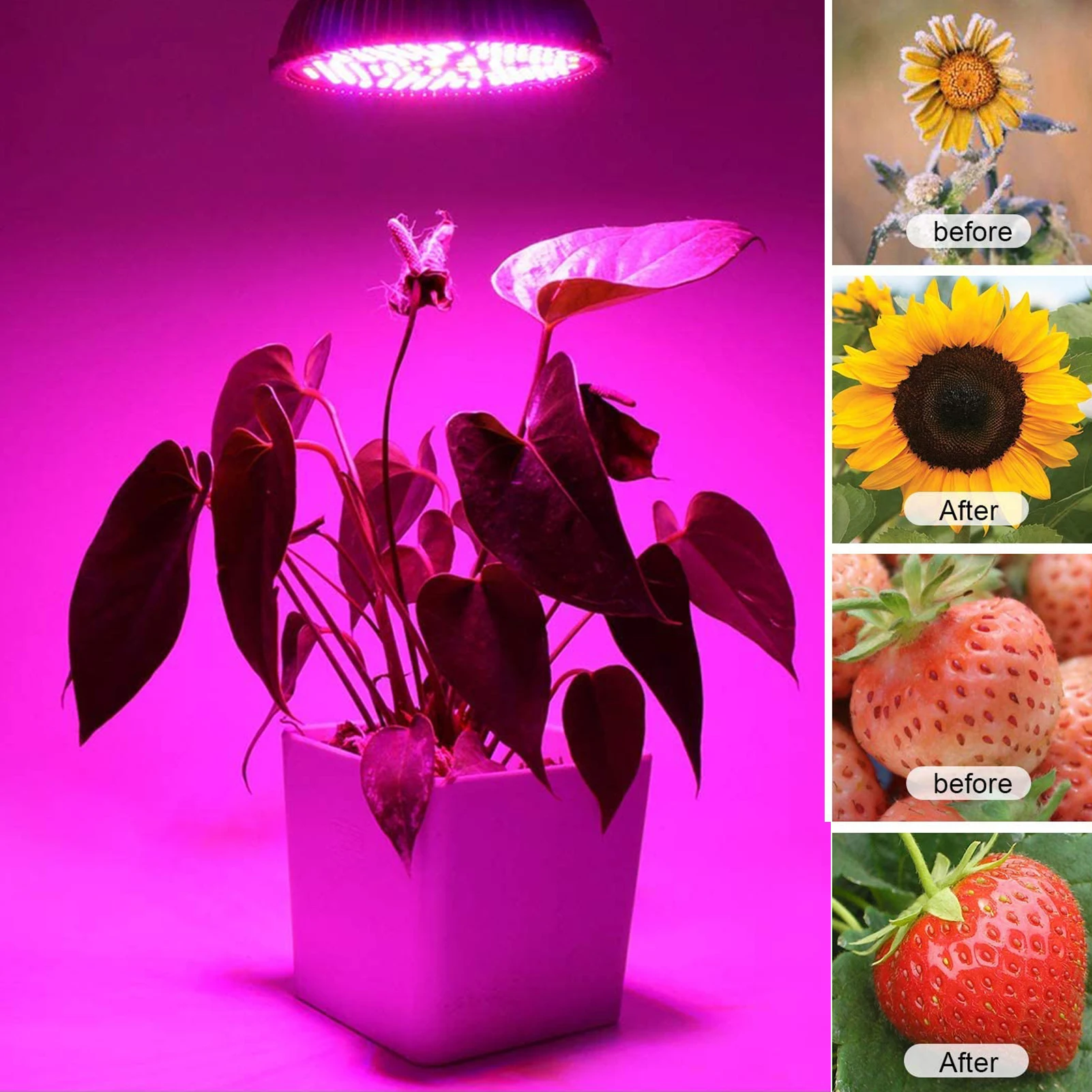 풀 스펙트럼 꽃 식물 수경 성장 전구, 85-265V, 18W, 18 LED, GU10