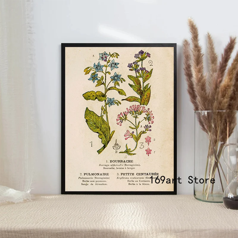 Vintage French Language Botanical Plant Species Peony Agrimony Mustard Art Poster Canvas Painting Wall Prints Picture Home Decor