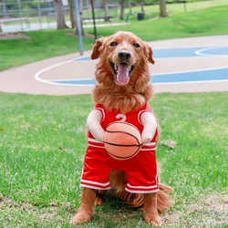 Creative New Style Dog Basketball Costume With Ball Jumper Jersey Sweater Clothes For Large Dogs Apparel Clothing Puppy Supplies