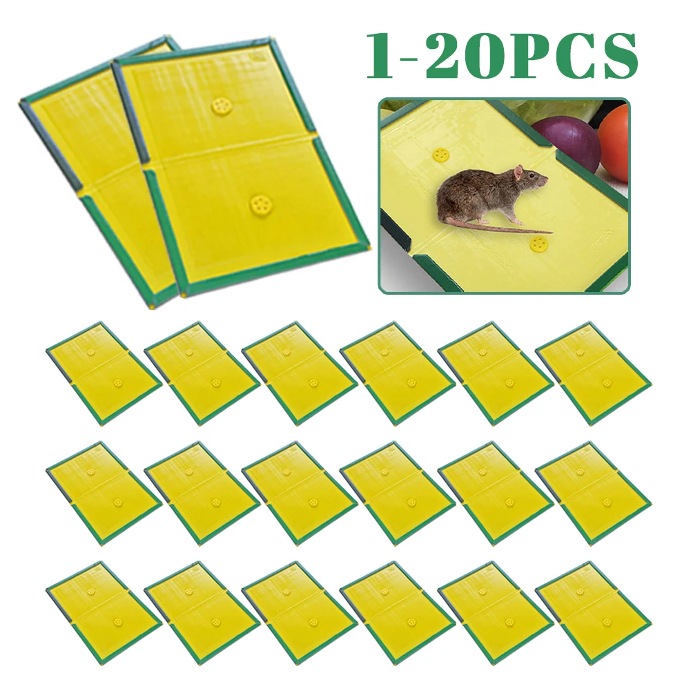 2 個のつま先セパレーター通気性のあるシリコン樹脂足の爪保護弾性抗摩擦汗防止耐摩耗性 Fo RFoot Care