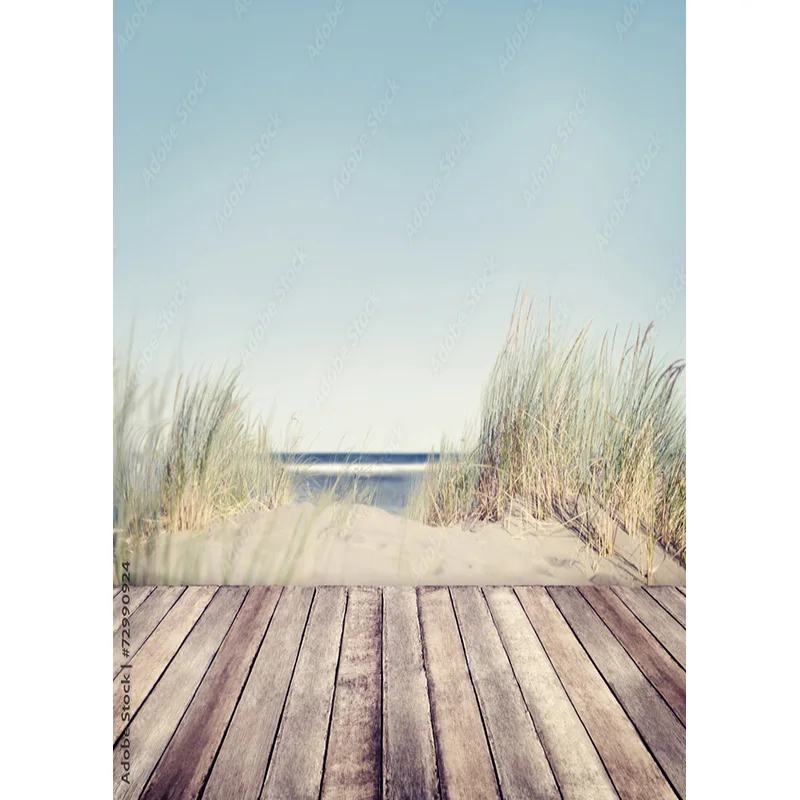 Tropical Meer Strand Palms Baum Fotografie Hintergrund Natural Scenic Foto Kulissen Photo Foto Studio 211227-HHB 01