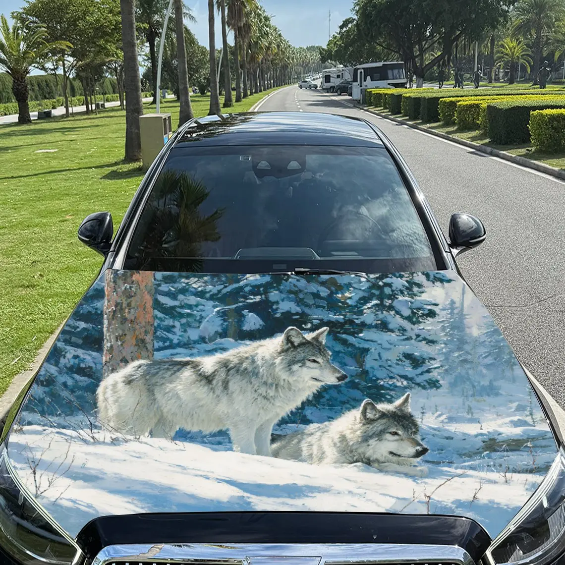 

Car Decals Wolves with Thick, Fluffy Fur in Snowy Landscape Car Hood Sticker, Waterproof Self - Adhesive Vinyl Graphics Decals,
