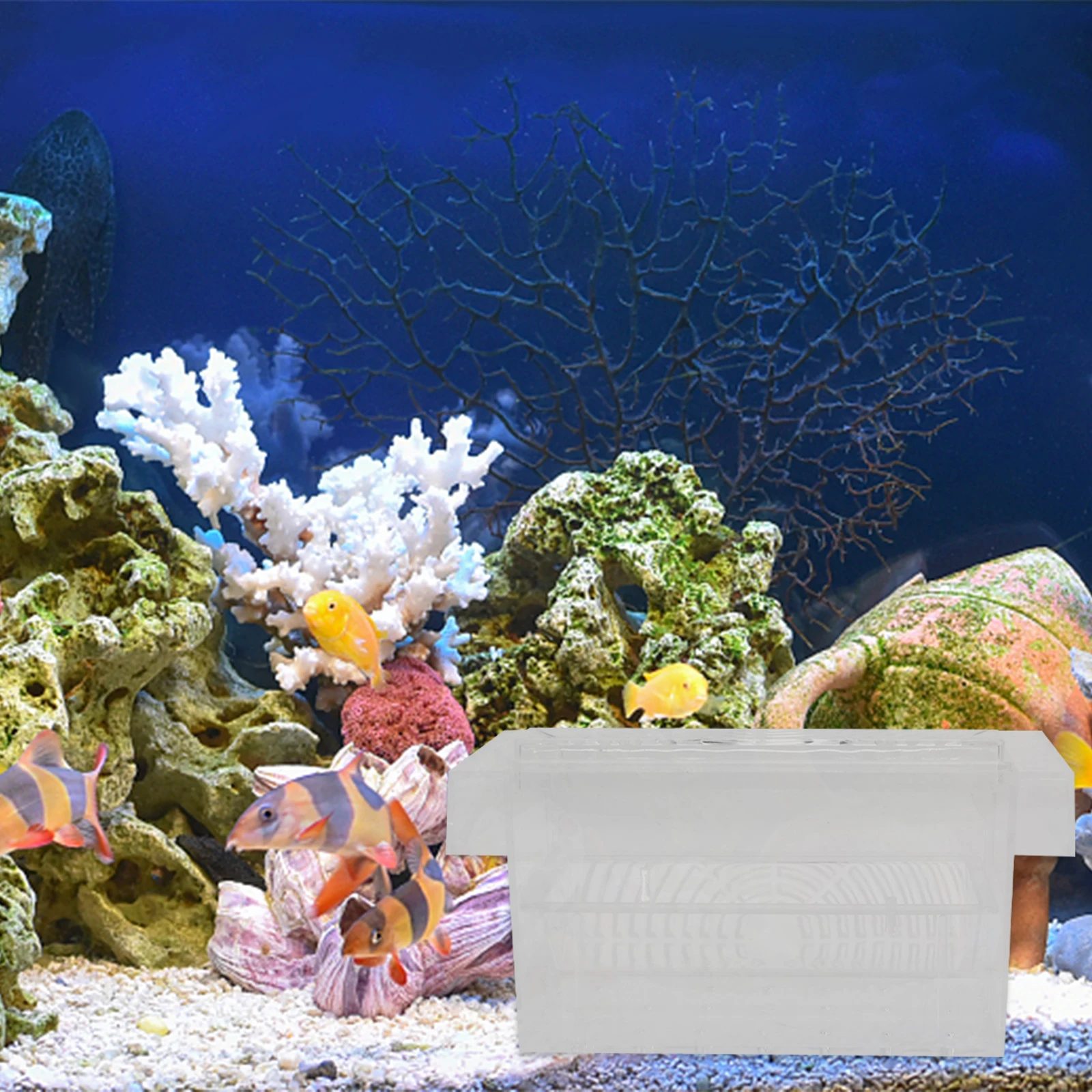 

Aquarium Isolation Box Fish Breeding Fry Incubator Tank Accessory Clear Acrylic Hatchery Bowl Durable Wear Resistant Long Term