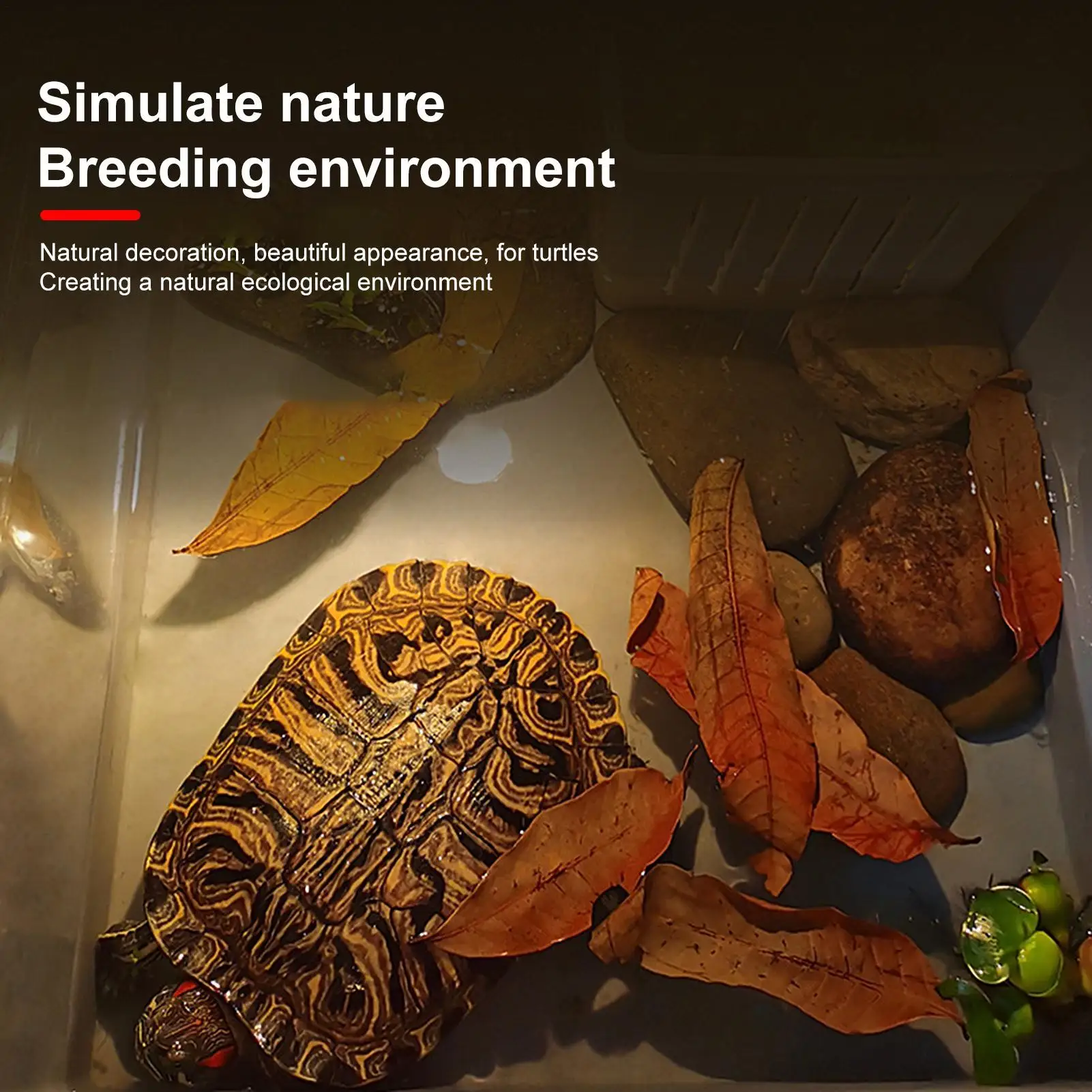 50 Stück Reptilienblätter, natürliche Haustierzubehör, Aquarium-Longanblätter-Streu für Geckos, Frösche, Schlangen, Garnelen, Schildkröten, Eidechsen – Detail 5